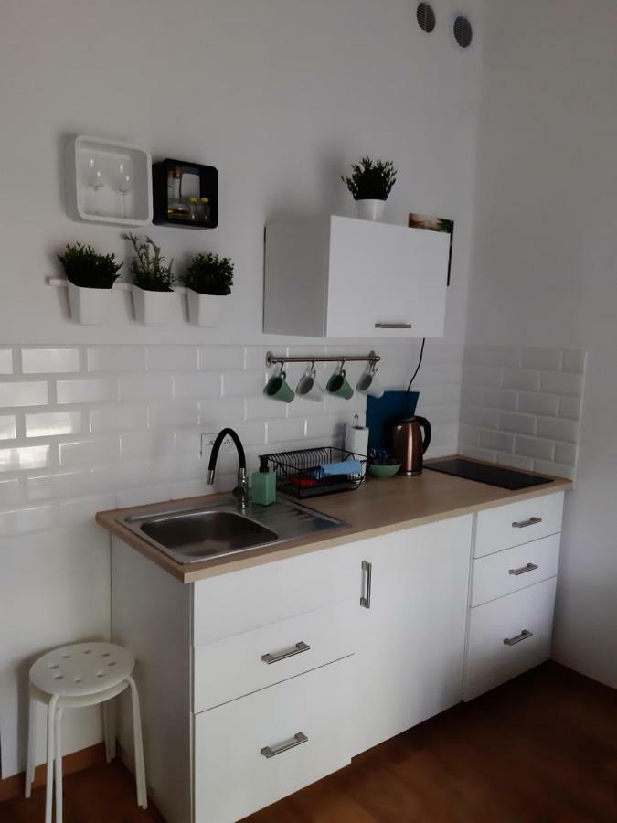 Apartament Nad Stara Odra ヴロツワフ エクステリア 写真